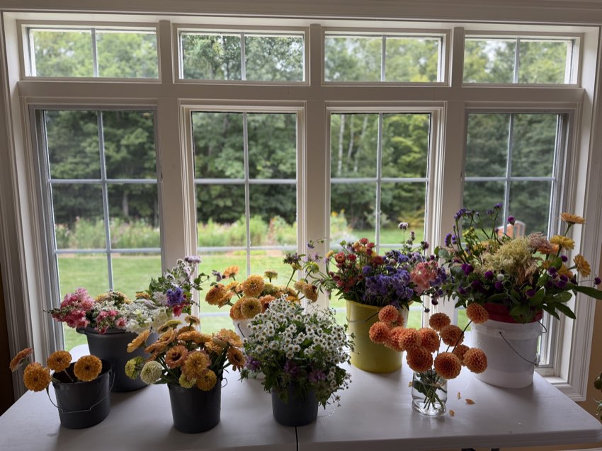 Small arrangements lined up along a window