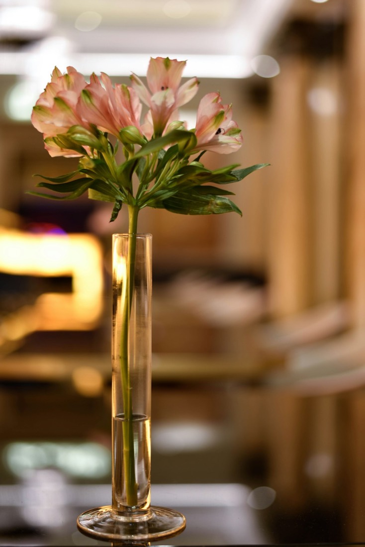 A single stem in a bud vase