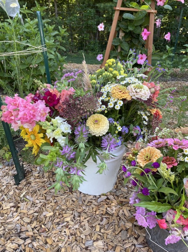 Bouquets in buckets in the garden