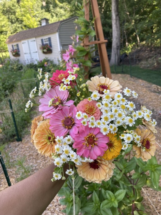 A hand-tied bouquet held up in the garden